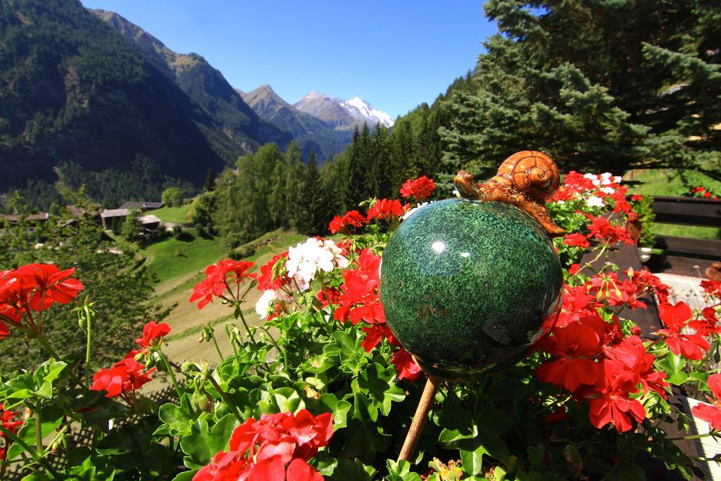 Villa Grossglockner ハイリゲンブルート エクステリア 写真